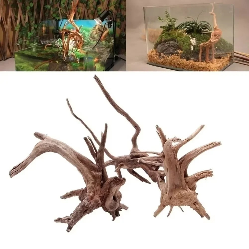 Aquarium Fish Types - 15-20CM Natürliches Treibholz Aquarium-Dekoration - Premium