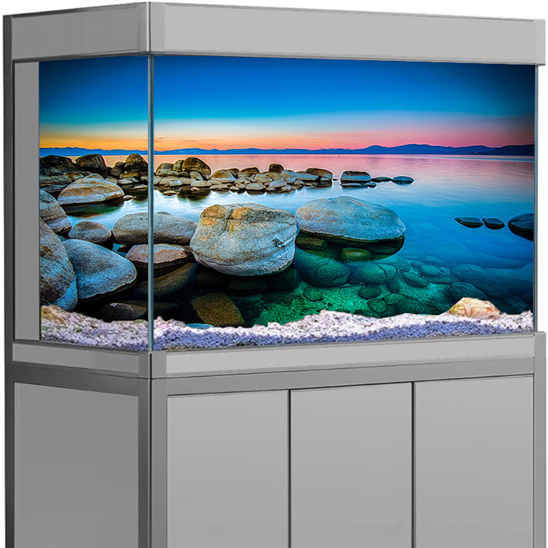Aquarium Fish Poster - Aquarium Hintergrund Aufkleber Stein Meerblick Poster