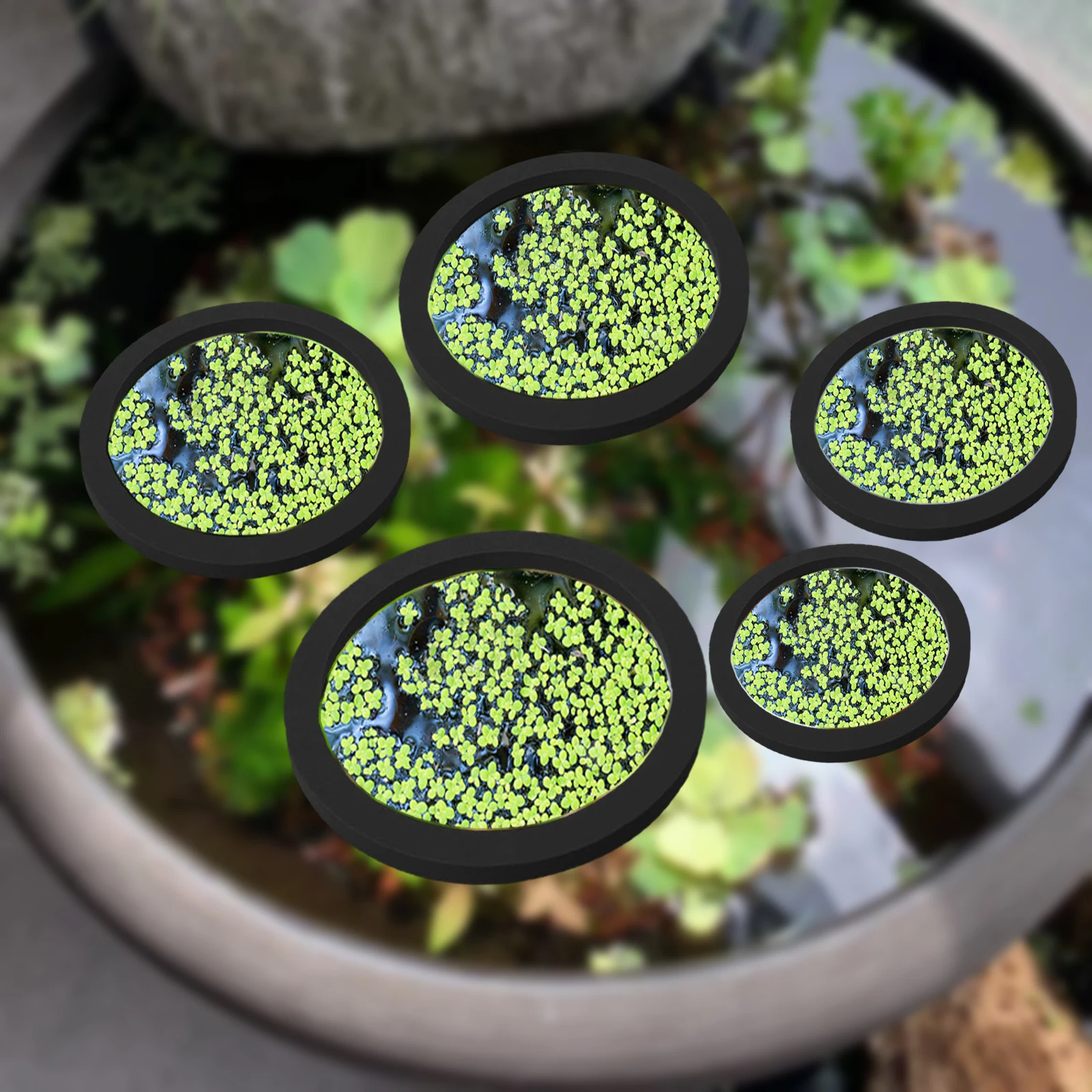 Aquarium Fish Types - 5Pcs EVA Fisch Fütterung Ring Aquarium
