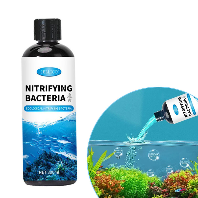 Aquarium Fish Medicine - Nitrifizierende Bakterien Flüssiges Aquarium Wasserreiniger Aquarium