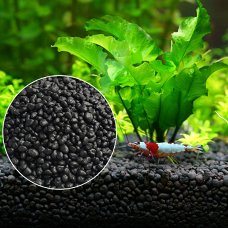 Aquarium Fish Types - Aquarium Pflanzen Samen Boden Fishtank Substrat