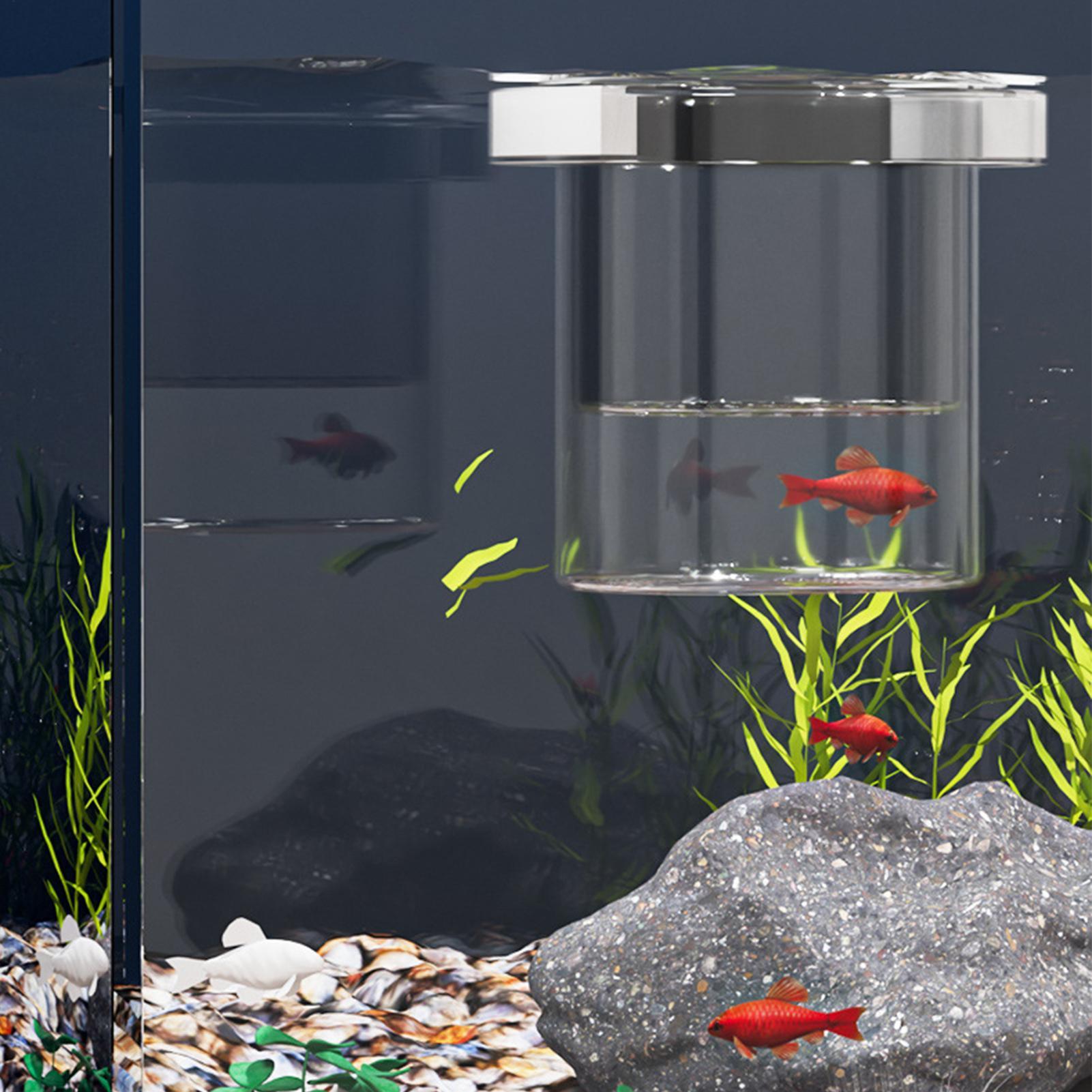 Fischzuchtbox, schwimmende Aqu – Aquarium Fish Eggs Bewertung und Preis
