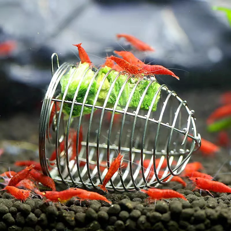 Edelstahl Aquarium Kleine Ange – Aquarium Fish Eggs Bewertung und Preis
