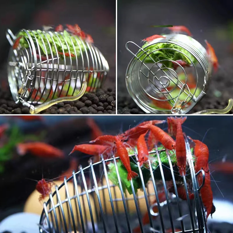 Edelstahl Aquarium Kleine Ange – Aquarium Fish Eggs Bewertung und Preis