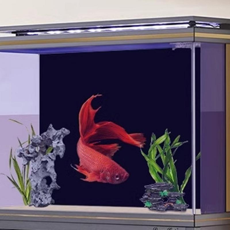 Schwarzes Aquarium Hintergrund – Aquarium Fish Poster Bewertung und Preis