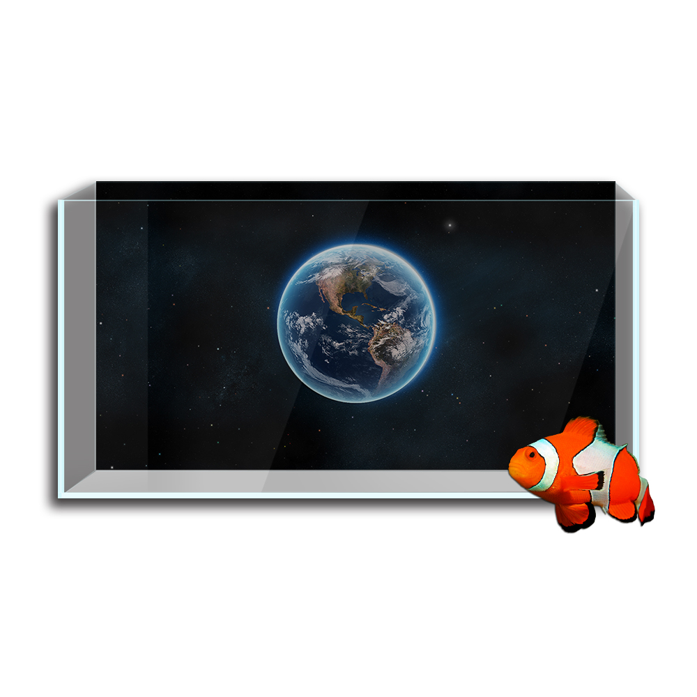 Aquarium Aquarium Hintergrund  – Aquarium Fish Poster Bewertung und Preis