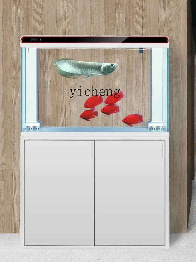 X-24 Superweißes Glas Großes B – Xchange Aquarium Fish Bewertung und Preis
