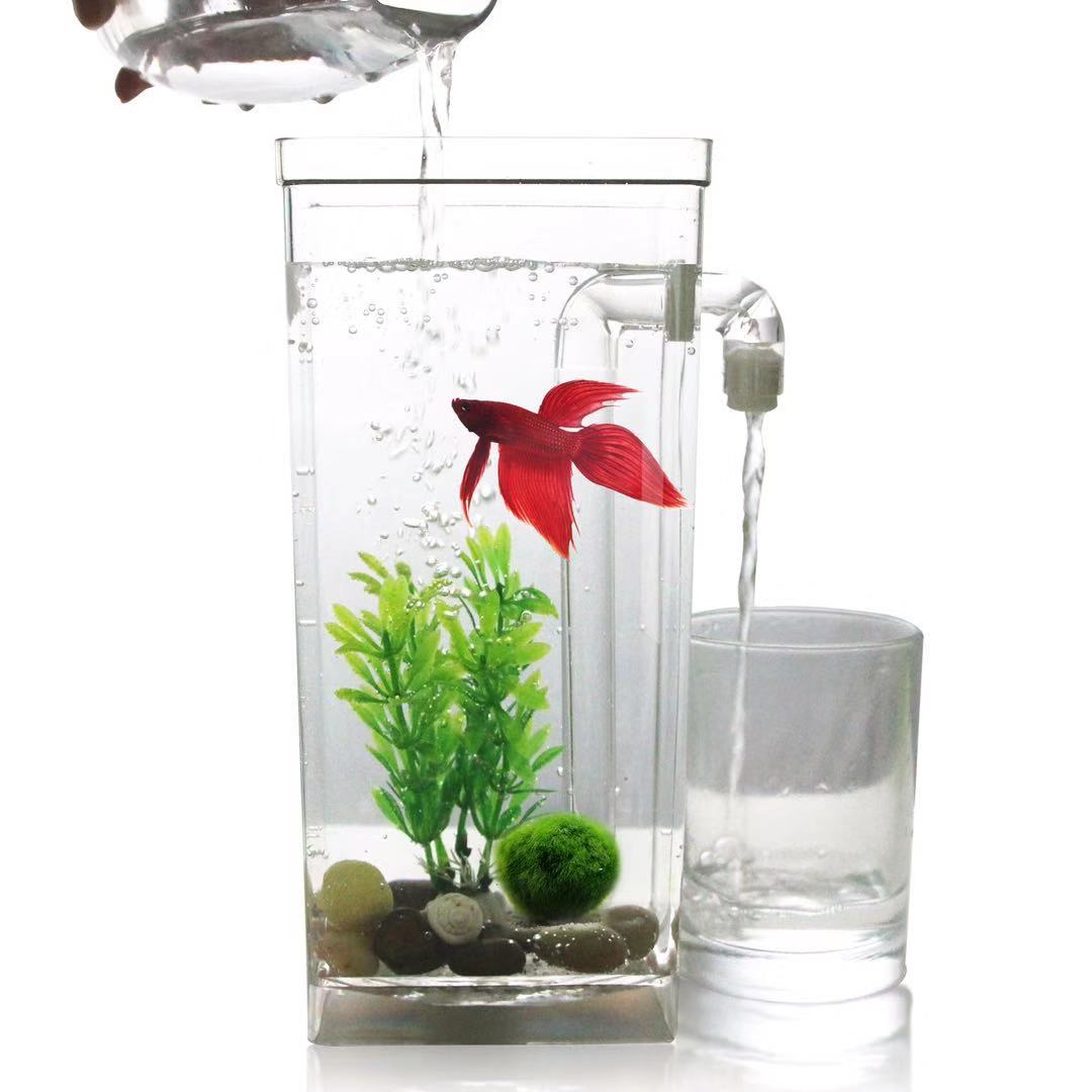 Faul Frei Wasser Ändern Deskto – Aquarium Fish Goldfish Bewertung und Preis