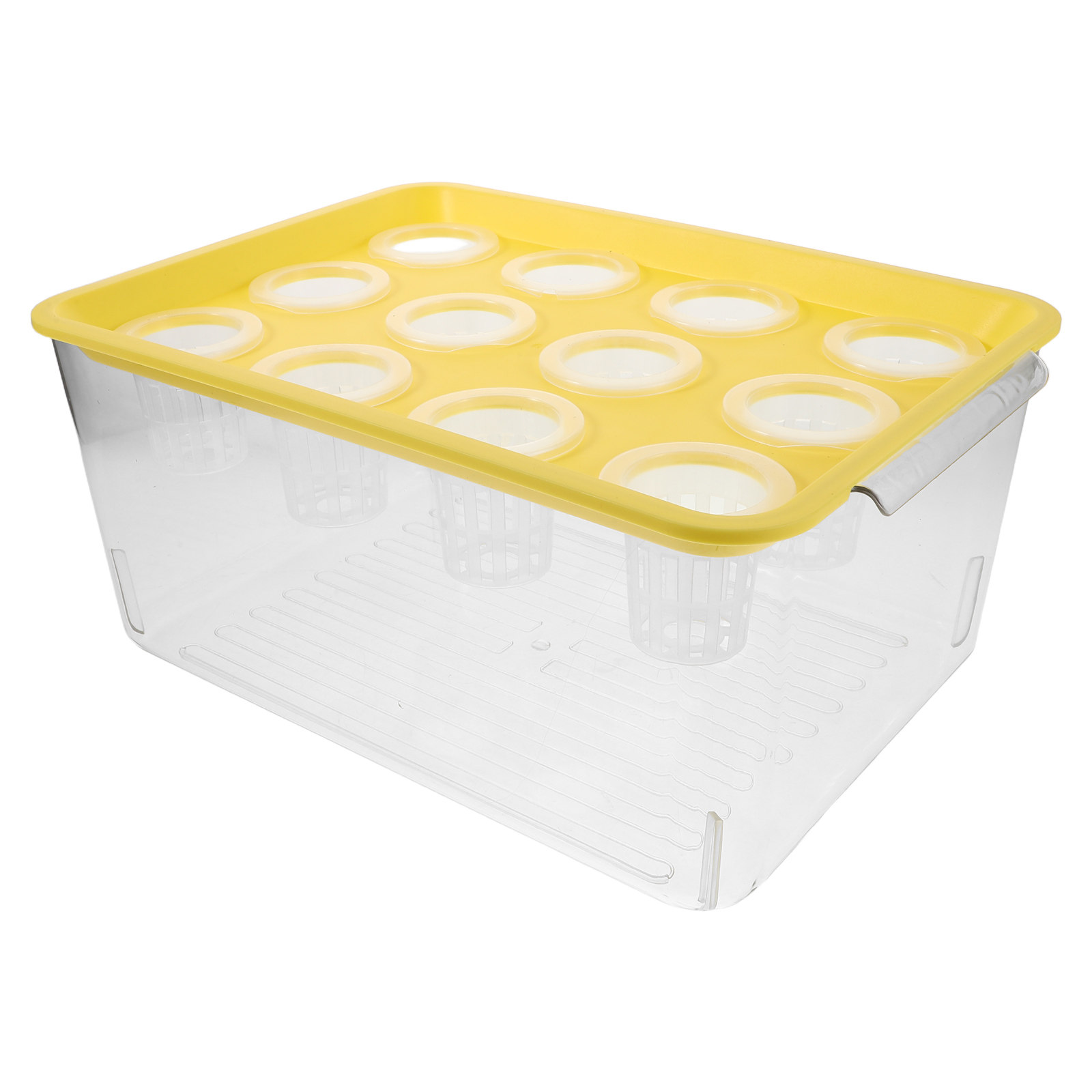 Ökologisches Goldfisch-Aquariu – Aquarium Fish Goldfish Bewertung und Preis