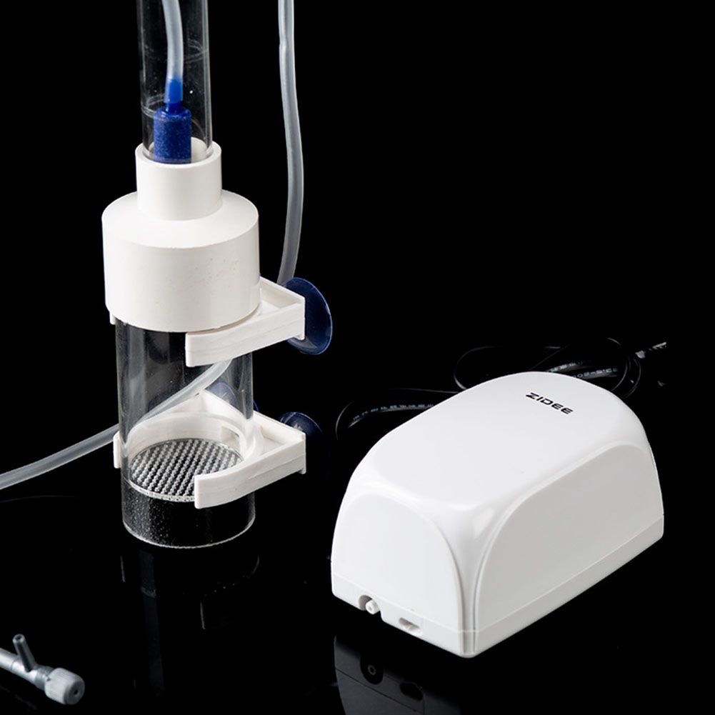 40mm Inkubator für Fischeier,  – Aquarium Fish Eggs Bewertung und Preis