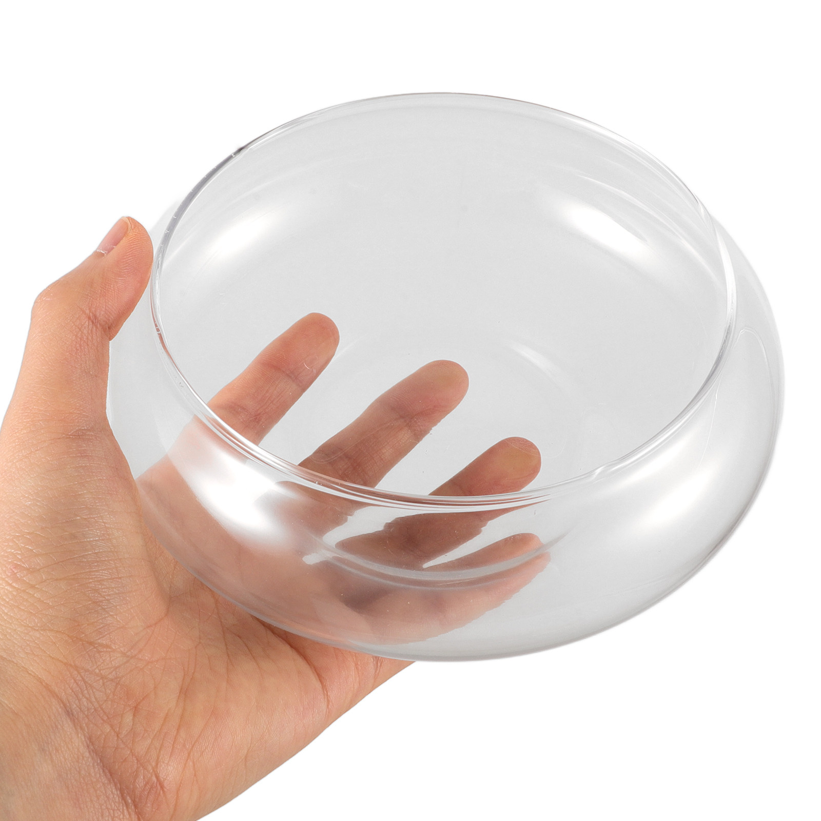 Klares Glas-Fischbecken Rundes – Aquarium Fish Goldfish Bewertung und Preis