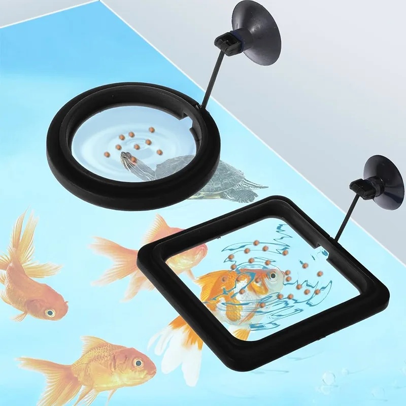 Aquarium-Futterring, Fischbeck – Aquarium Fish Medicine Bewertung und Preis