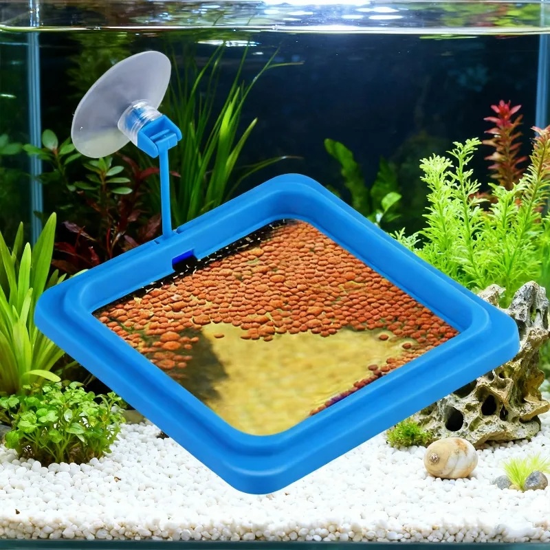Aquarium-Futterring, Fischbeck – Aquarium Fish Medicine Bewertung und Preis