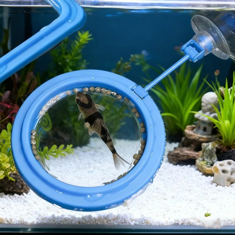 Aquarium-Futterring, Fischbeck – Aquarium Fish Medicine Bewertung und Preis
