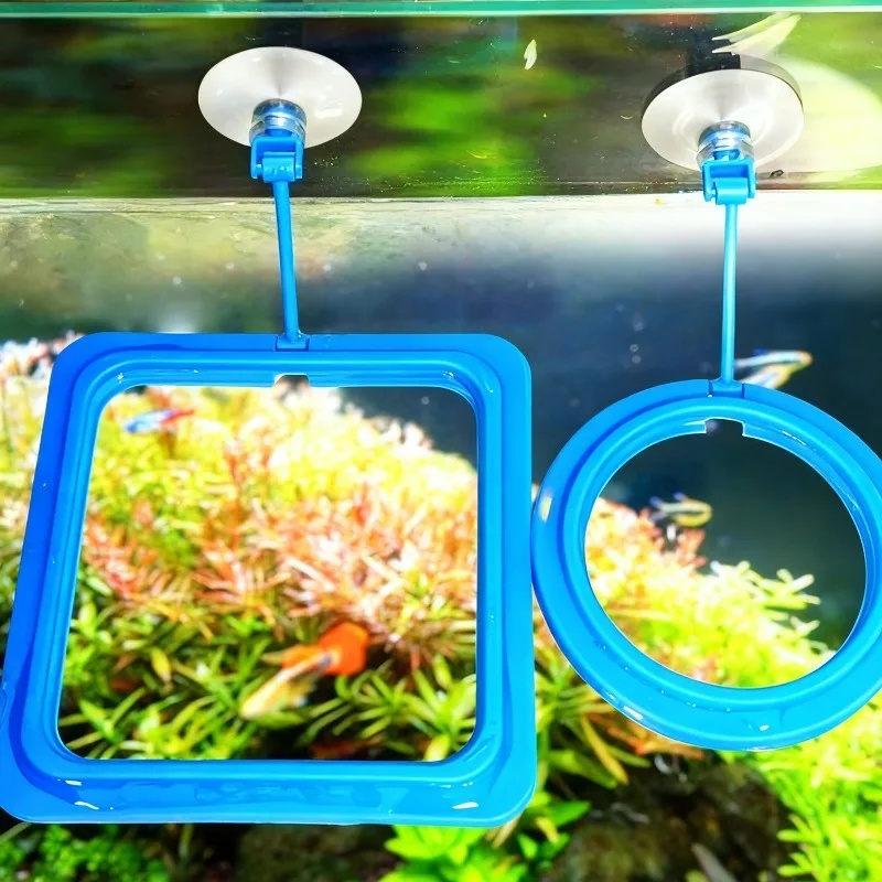 Aquarium-Futterring, Fischbeck – Aquarium Fish Medicine Bewertung und Preis