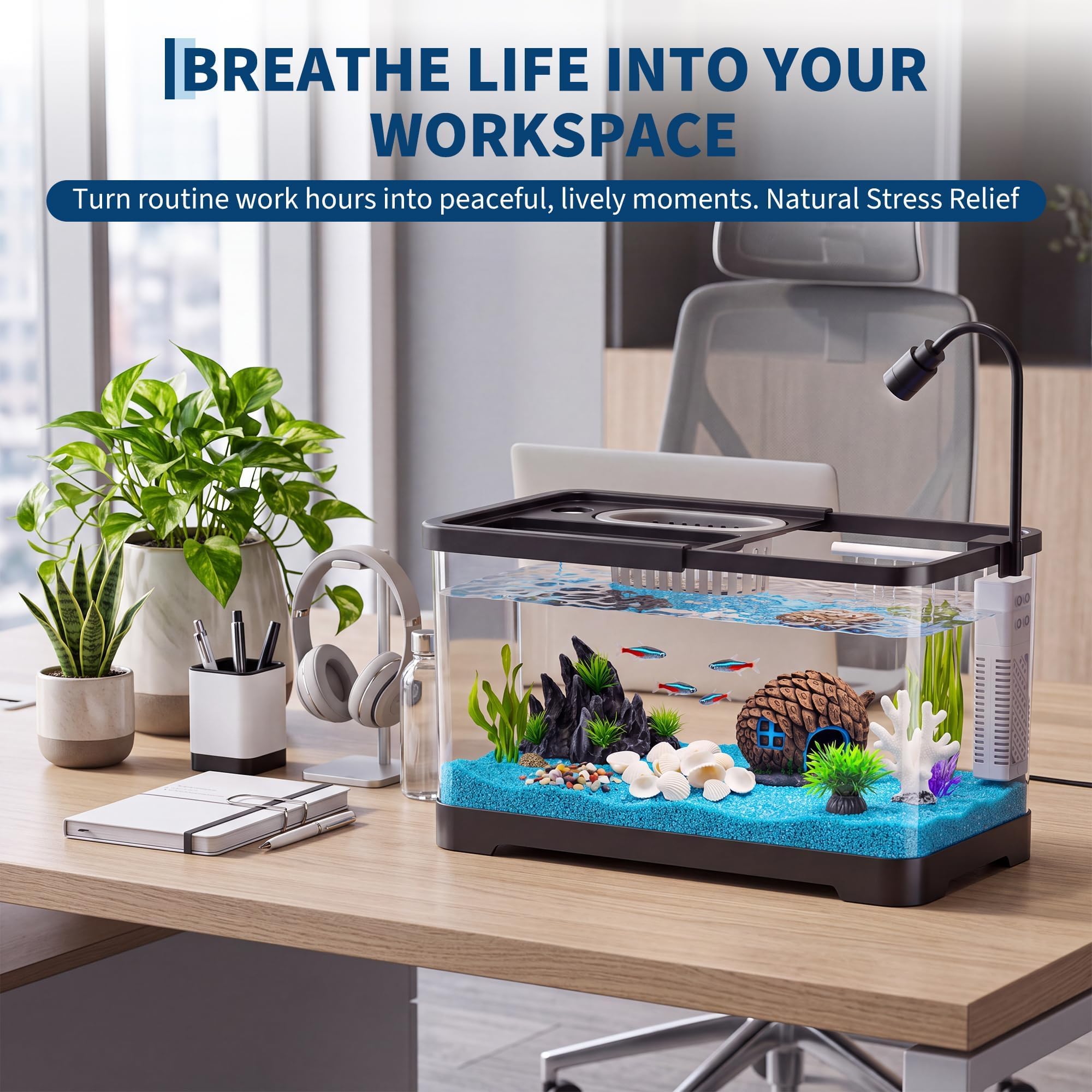 Aquarium-Starter-Set mit Filte – Aquarium Fish Goldfish Bewertung und Preis