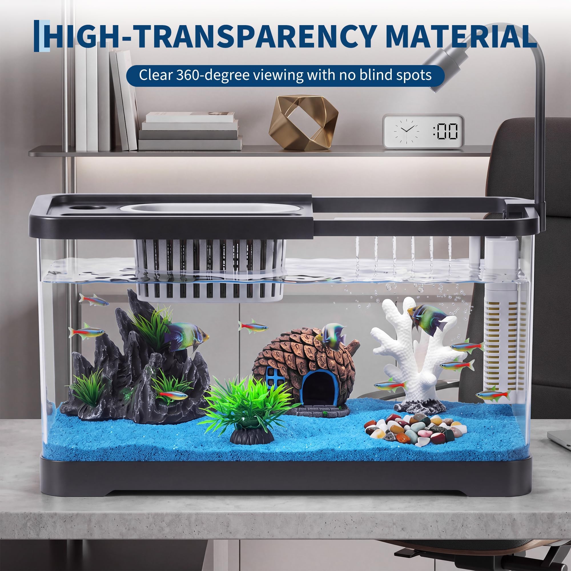 Aquarium-Starter-Set mit Filte – Aquarium Fish Goldfish Bewertung und Preis