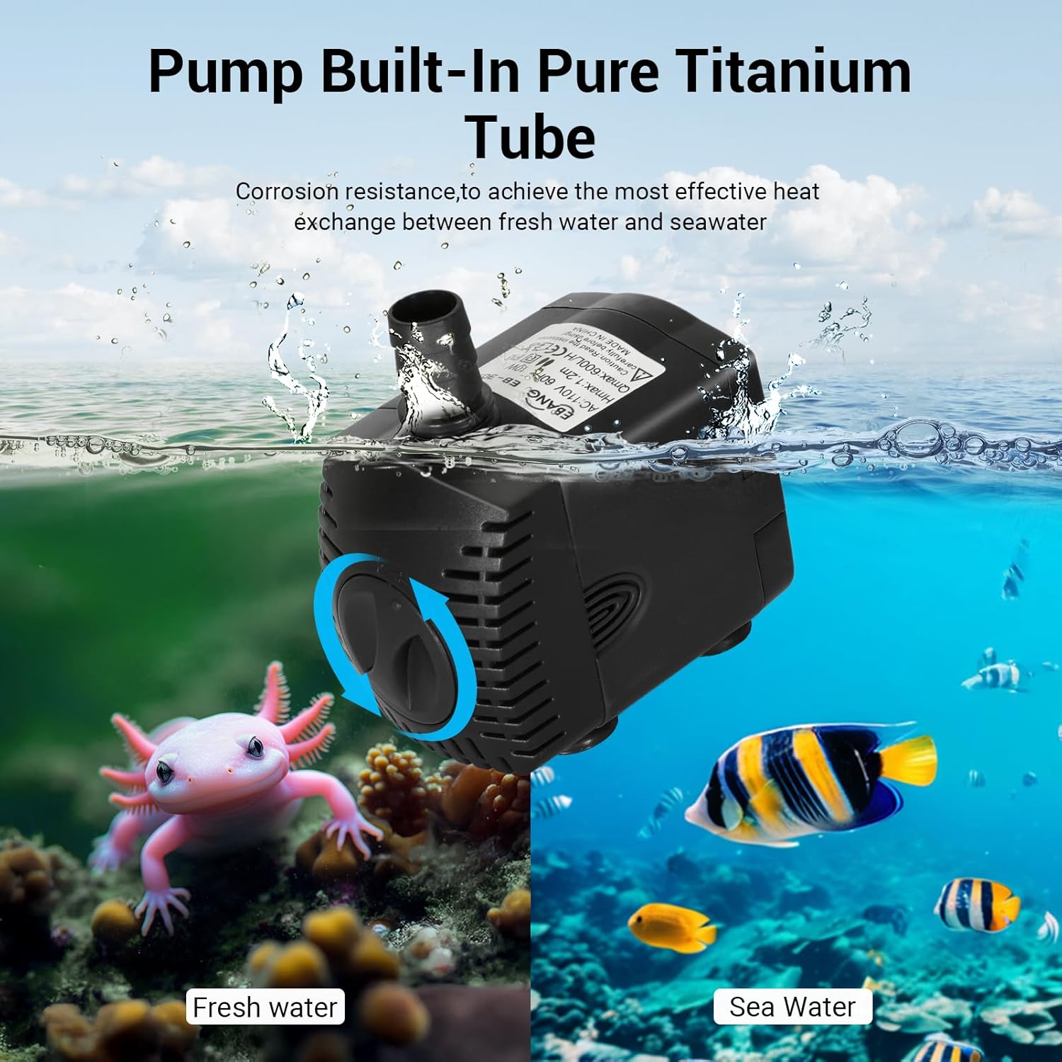 Aquarium-Kühler 79 Gallonen 1/ – Aquarium Fish Cold Water Bewertung und Preis