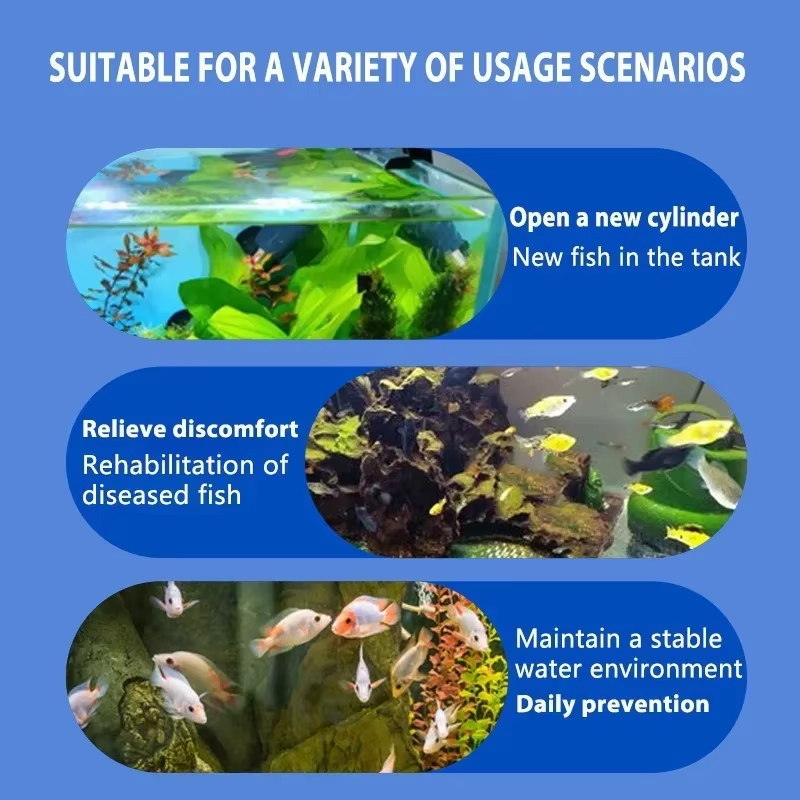 SIKEZHAN Behandlung von Fische – Aquarium Fish Medicine Bewertung und Preis