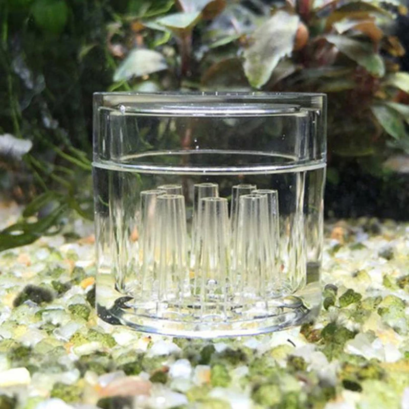 Hoch transparente Aquarium Aqu – Aquarium Fish Eggs Bewertung und Preis