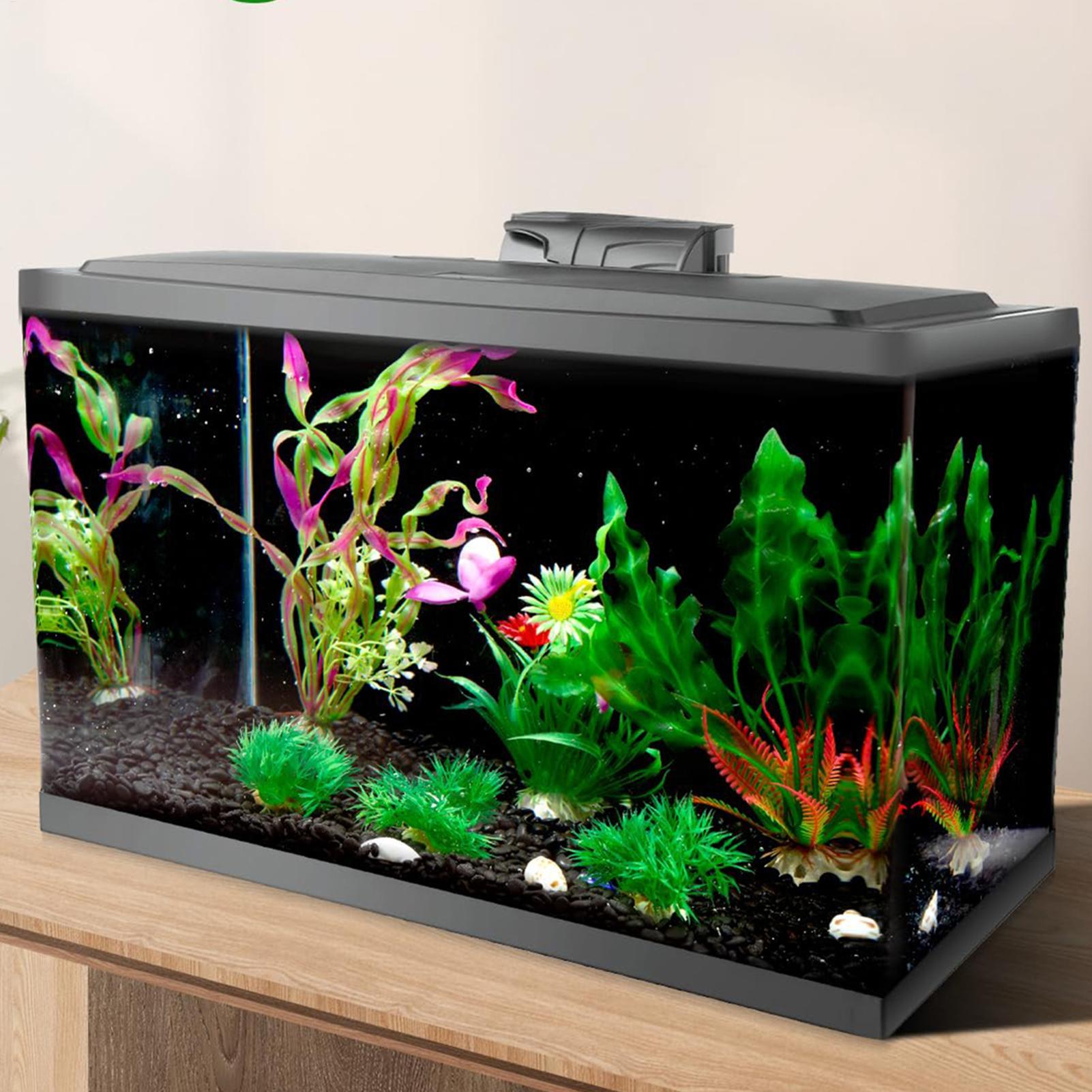 Schwarzer Aquarium-Hintergrund – Aquarium Fish Poster Bewertung und Preis