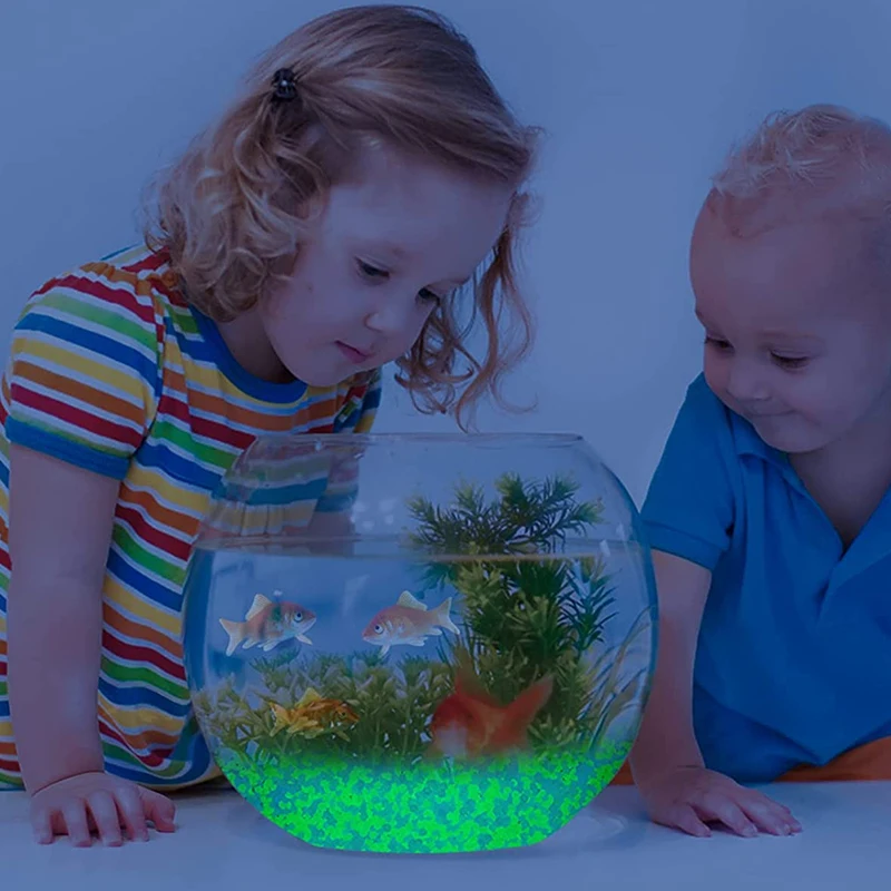 1000 Stück 3–5 mm leuchtender  – Aquarium Fish Types Bewertung und Preis