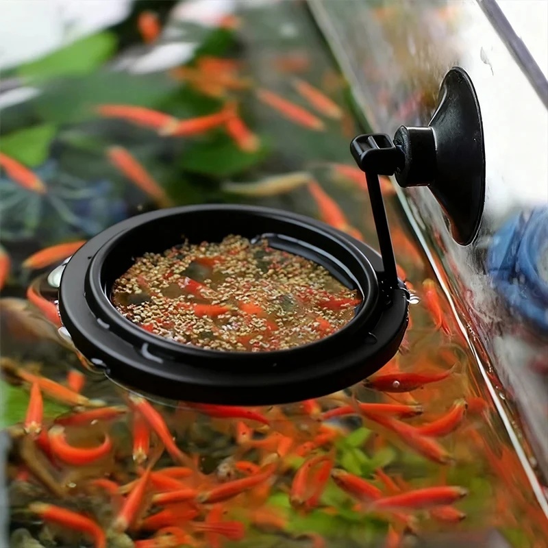 1/3 Stück Aquarium Fischfütter – Aquarium Fish Medicine Bewertung und Preis
