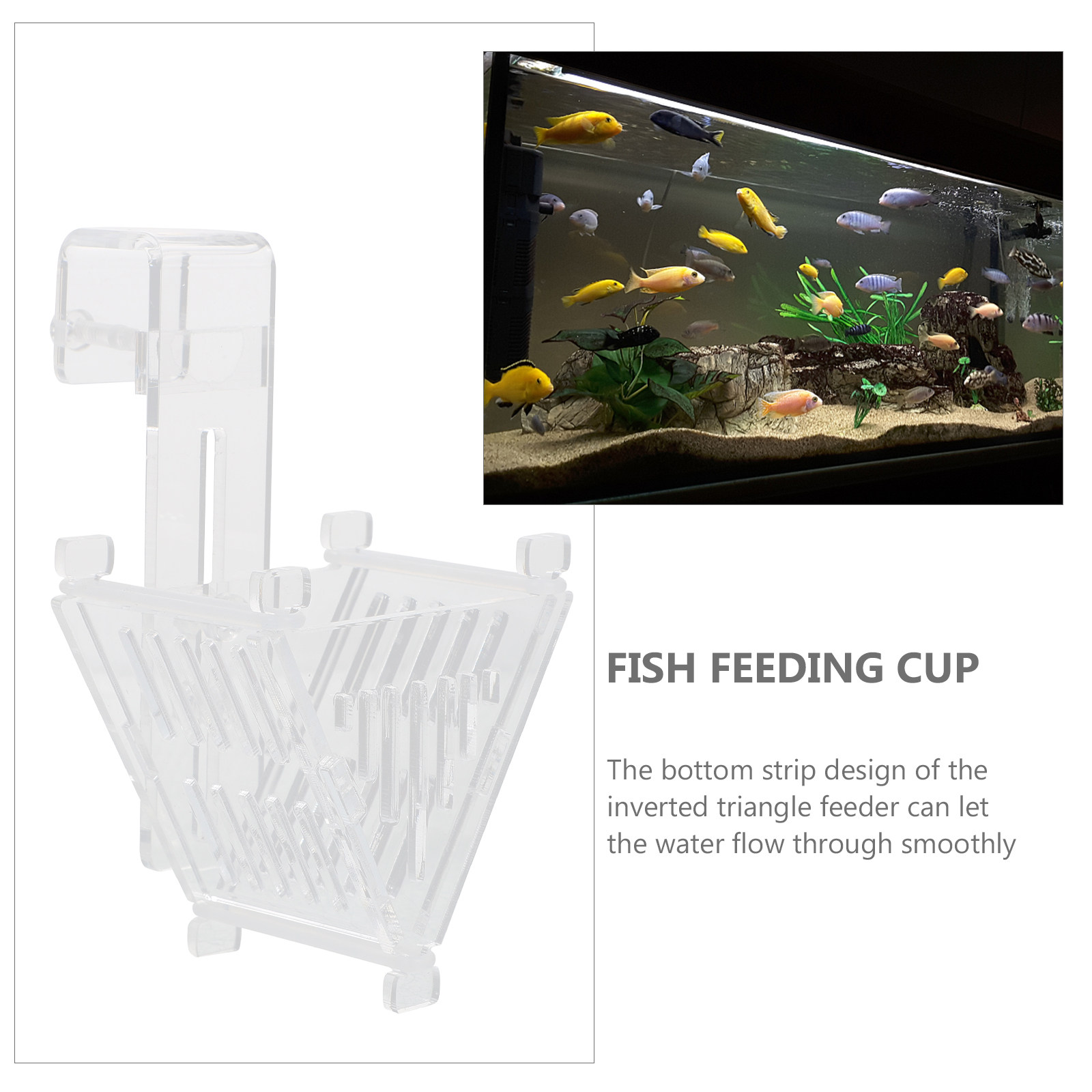 Aquarium-Fischfutterbecher mit – Aquarium Fish Types Bewertung und Preis