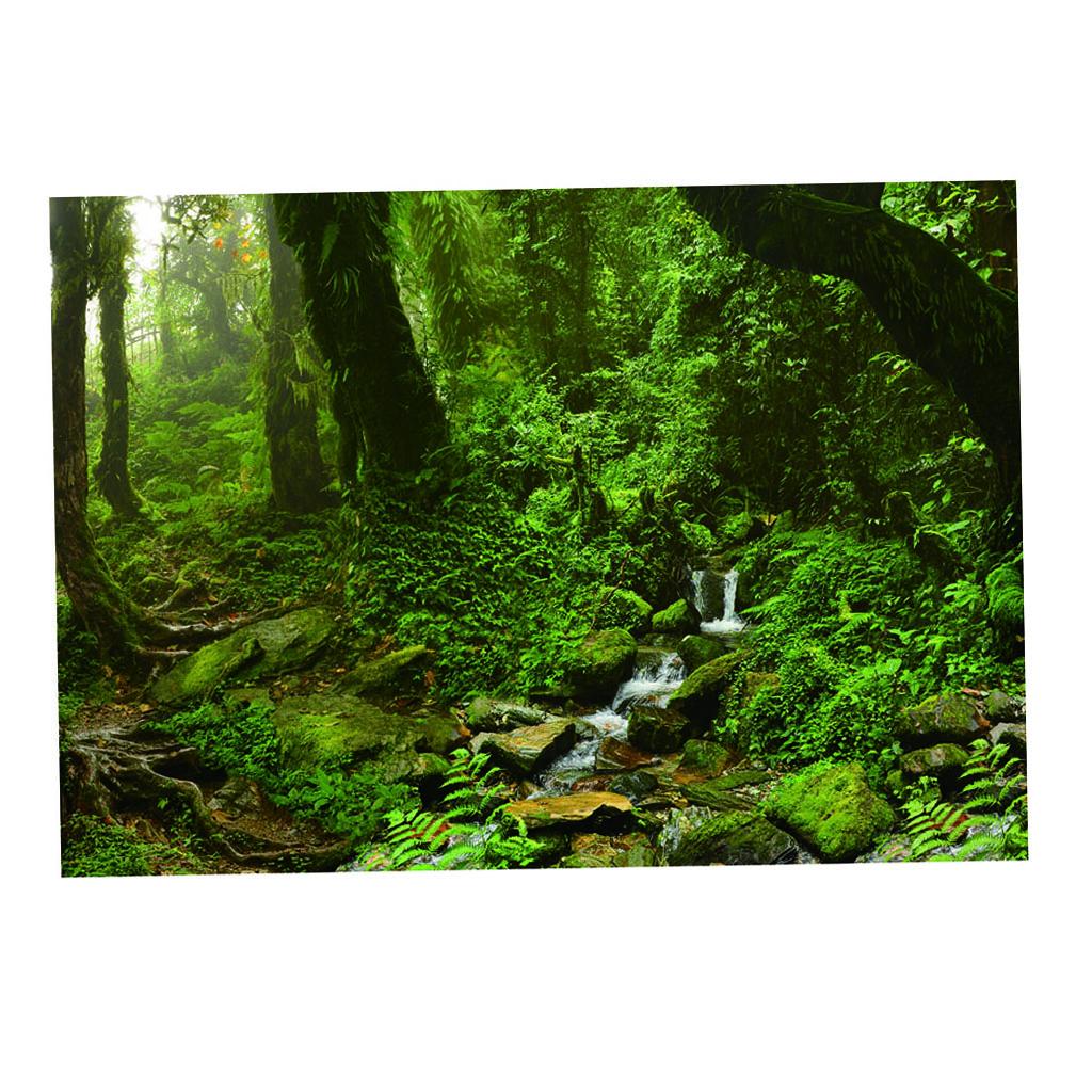 Aquarium-Hintergrund-Poster, l – Aquarium Fish Poster Bewertung und Preis