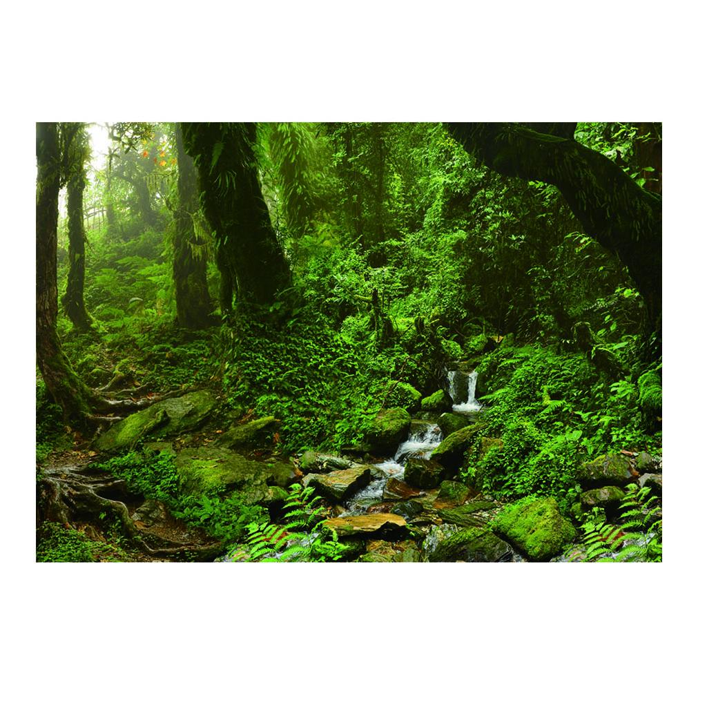 Aquarium-Hintergrund-Poster, l – Aquarium Fish Poster Bewertung und Preis