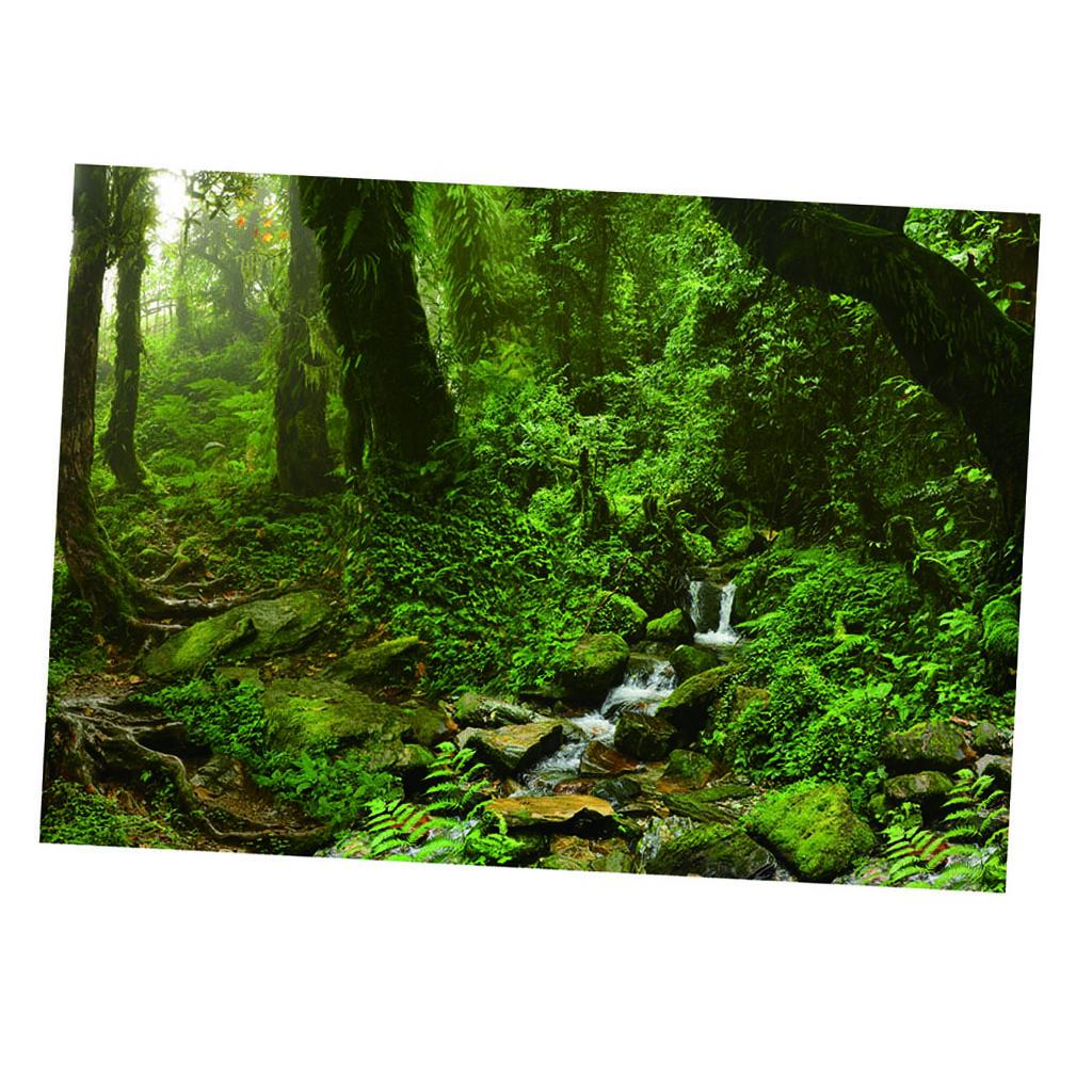 Aquarium-Hintergrund-Poster, l – Aquarium Fish Poster Bewertung und Preis