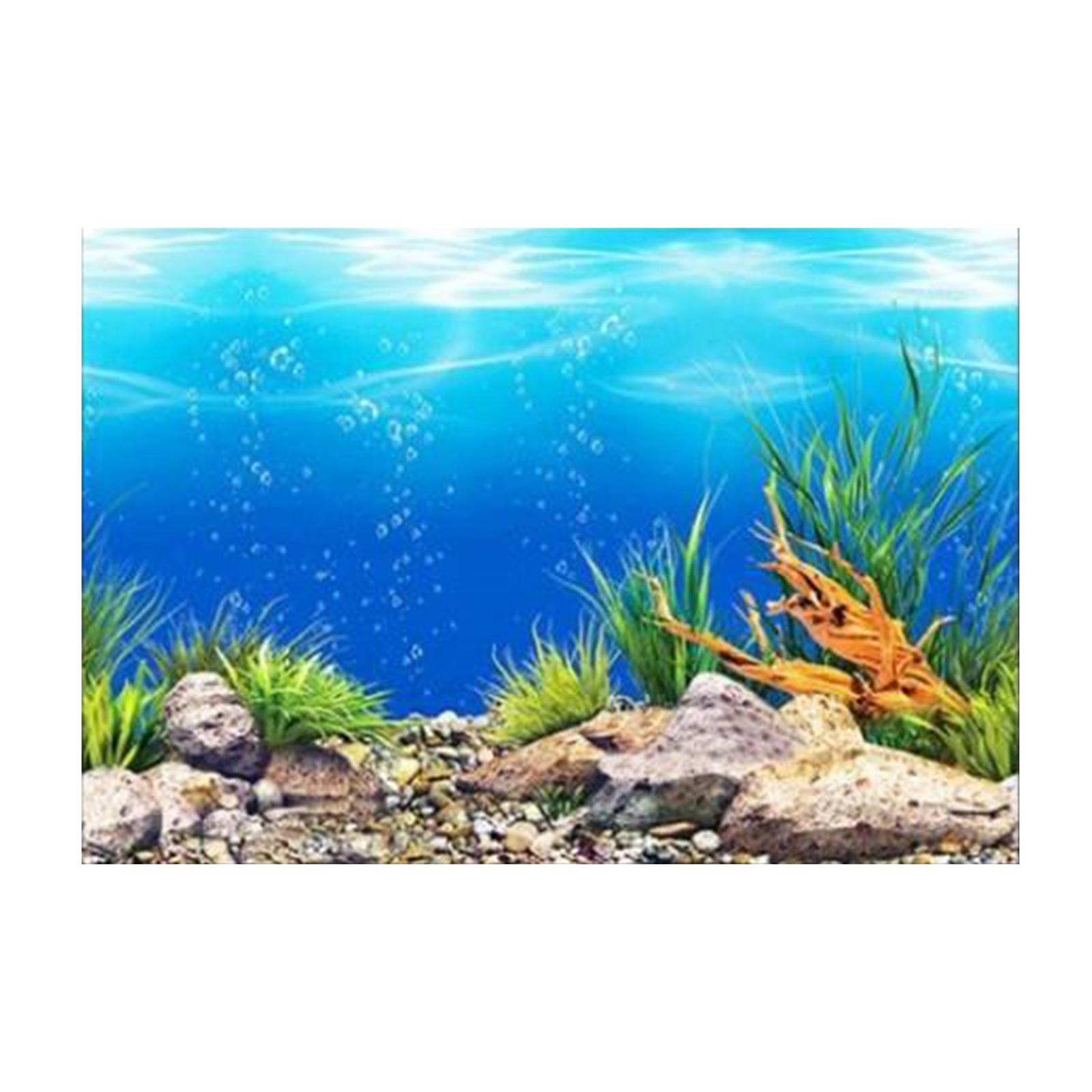 3D-Effekt Aquarium-Hintergrund – Aquarium Fish Poster Bewertung und Preis