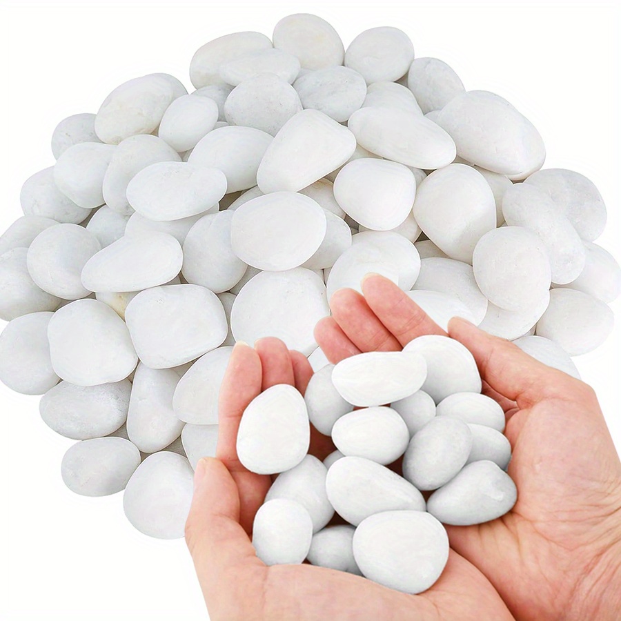 200/400g weiße hochglanzpolier – Aquarium Fish Types Bewertung und Preis