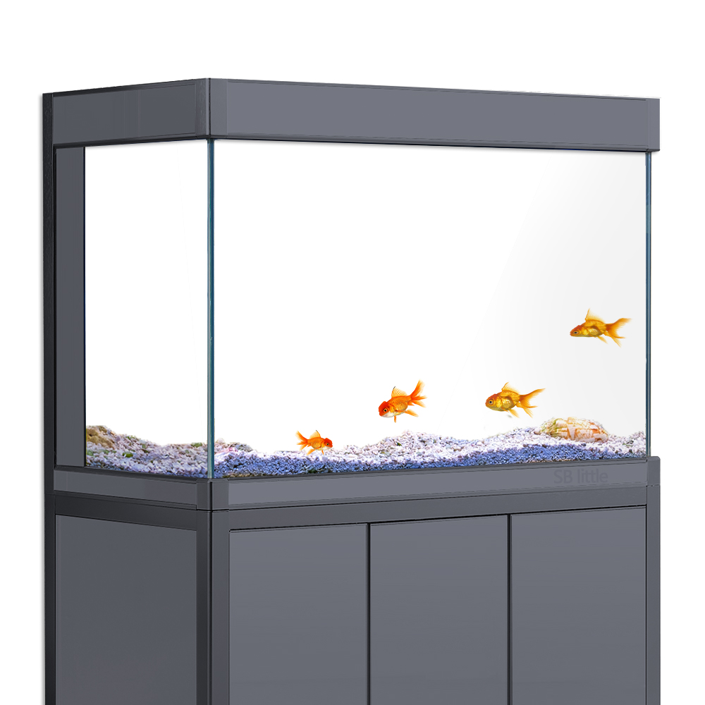 Aquarium-Hintergrund Statisch  – Aquarium Fish Poster Bewertung und Preis
