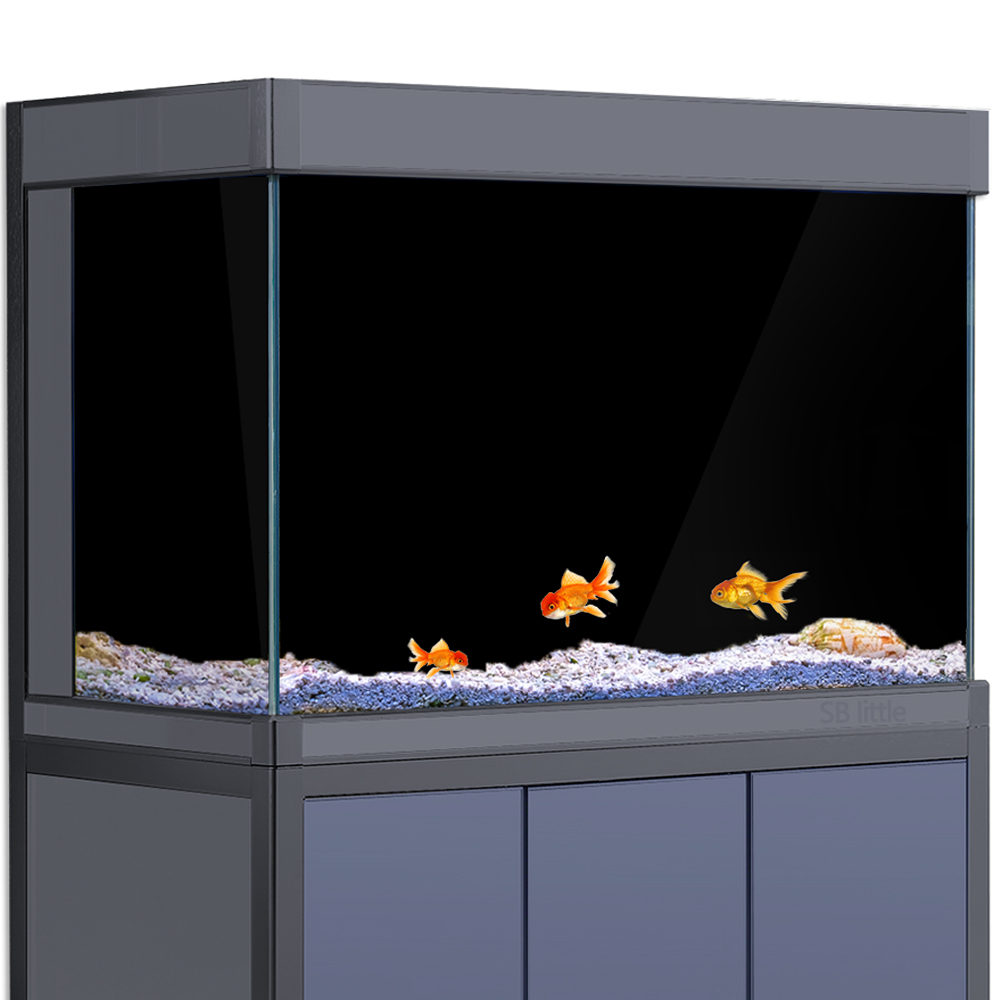 Aquarium-Hintergrund Statisch  – Aquarium Fish Poster Bewertung und Preis