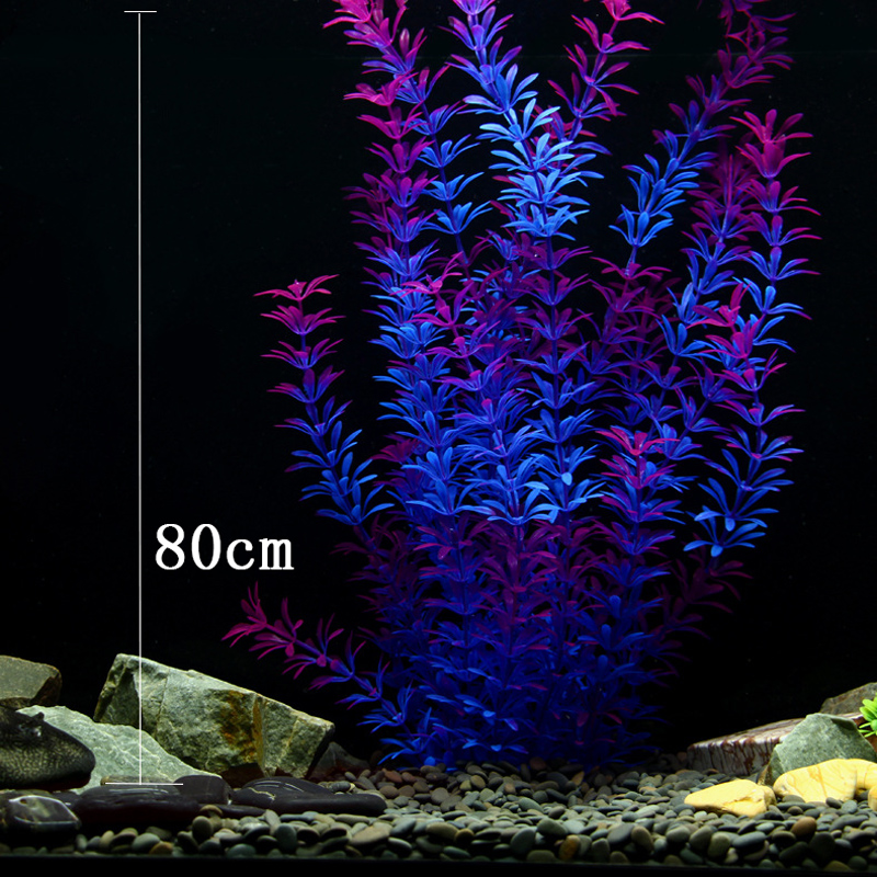 100cm Tropische Pflanzen, Groß – Aquarium Fish Types Bewertung und Preis