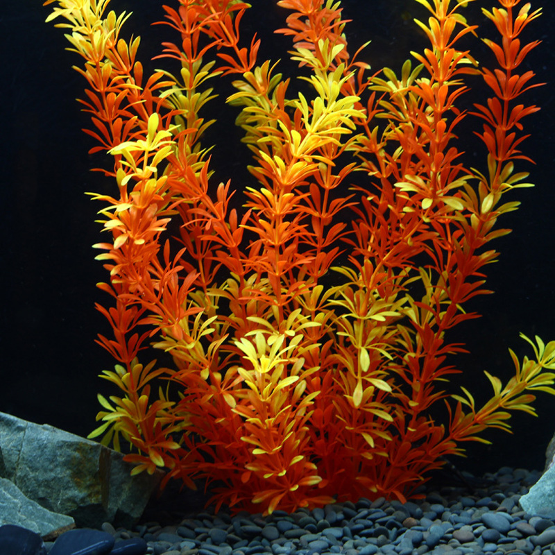 100cm Tropische Pflanzen, Groß – Aquarium Fish Types Bewertung und Preis