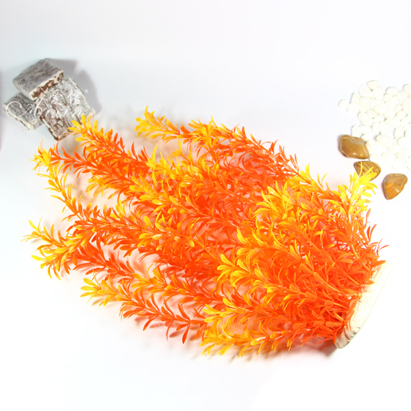 100cm Tropische Pflanzen, Groß – Aquarium Fish Types Bewertung und Preis