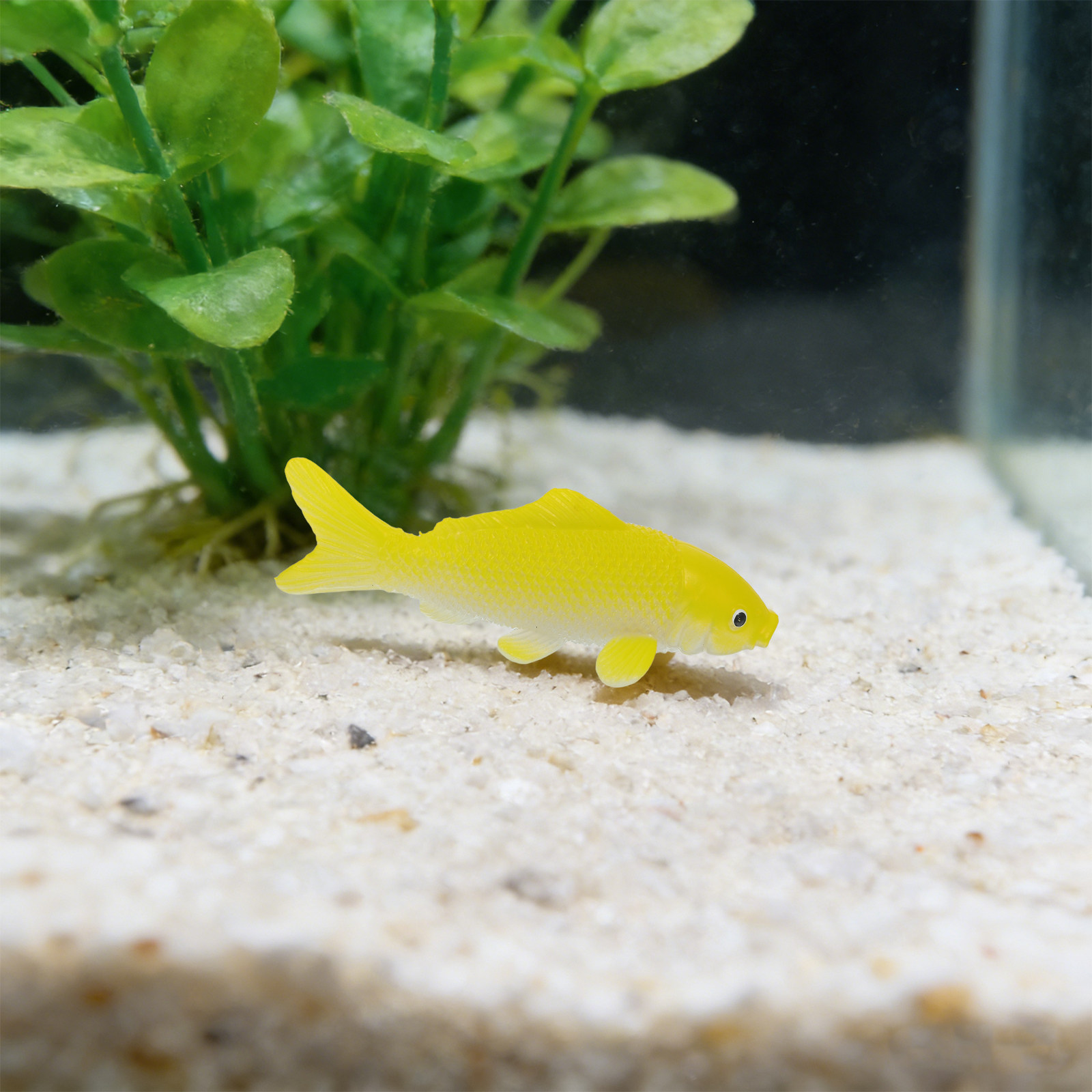 DC 12V-24V Hochleistungs-Mini- – Aquarium Fish Cold Water Bewertung und Preis