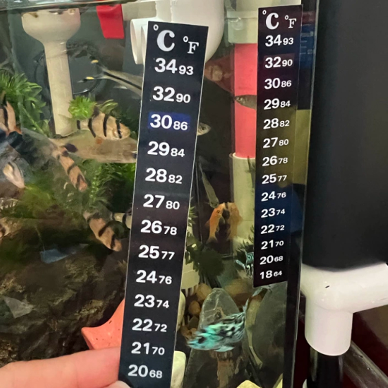 1/5 Stück Hochpräzises Thermom – Aquarium Thermometer Bewertung und Preis