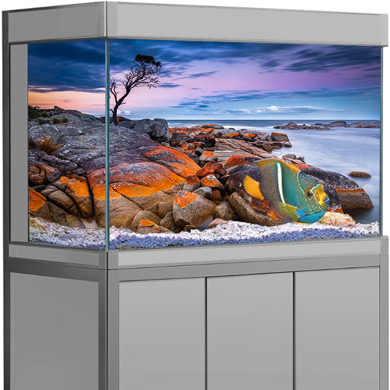 Aquarium Hintergrund Aufkleber – Aquarium Fish Poster Bewertung und Preis