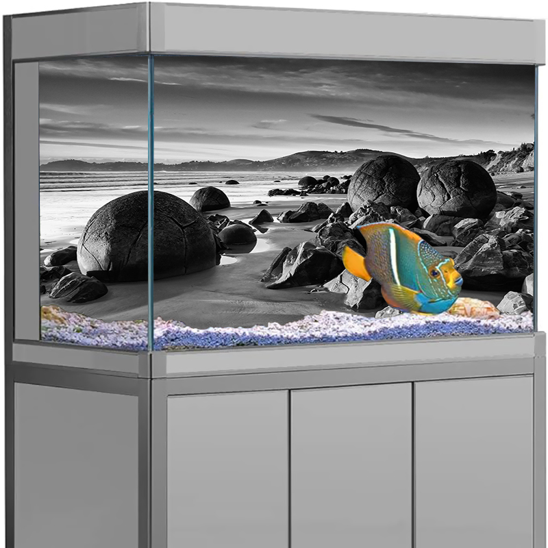 Aquarium Hintergrund Aufkleber – Aquarium Fish Poster Bewertung und Preis