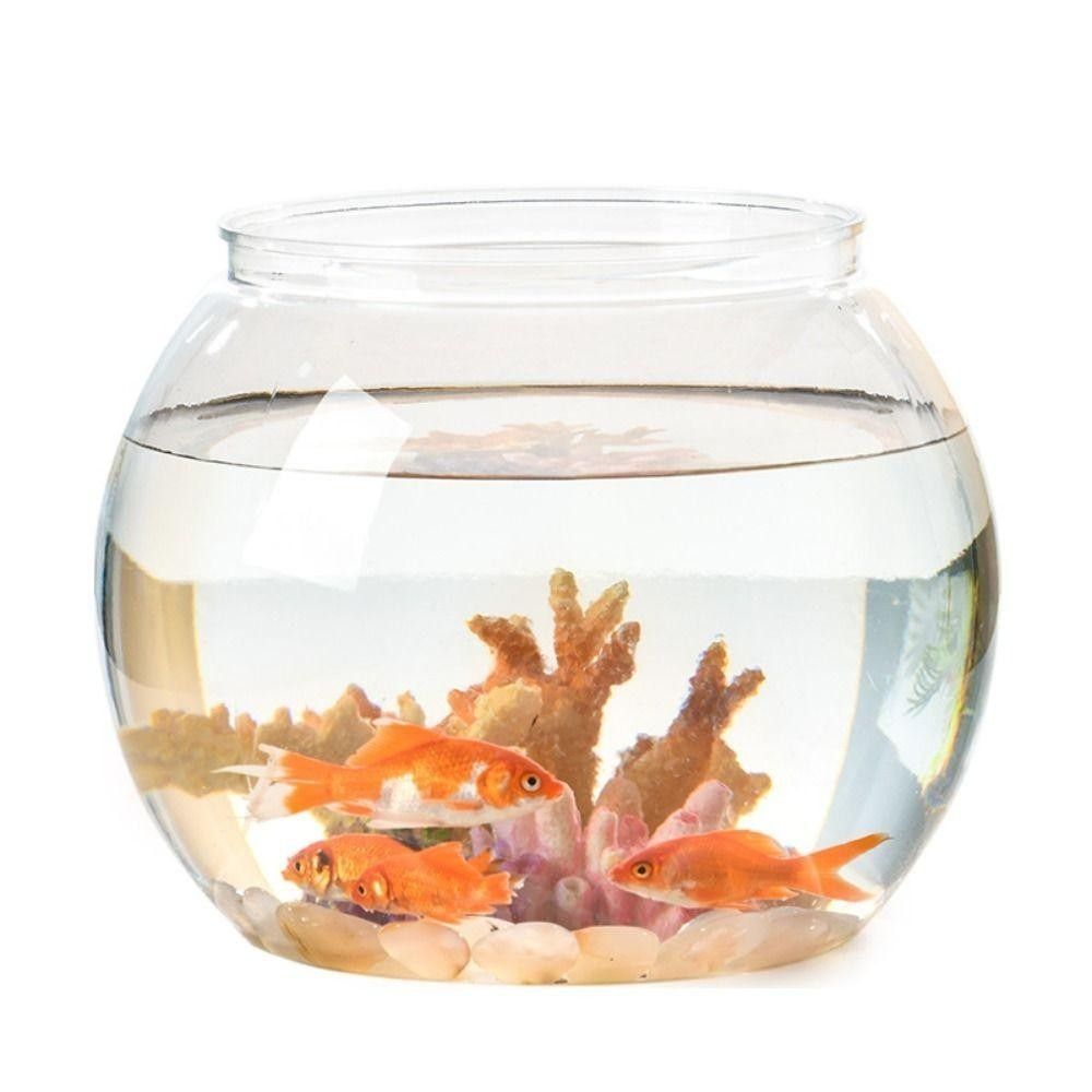 Tragbares Transparentes Fischb – Aquarium Fish Goldfish Bewertung und Preis