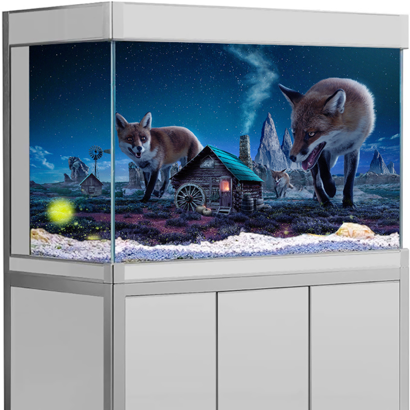 Aquarium-Hintergrund-Aufkleber – Aquarium Fish Poster Bewertung und Preis