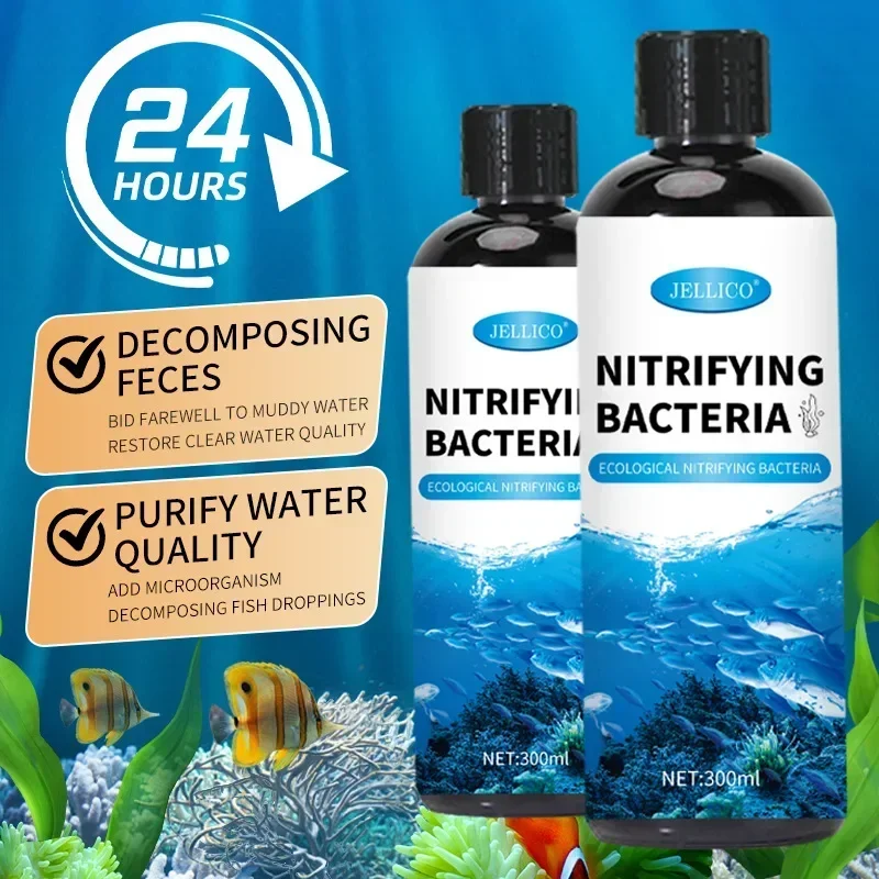 Nitrifizierende Bakterien Flüs – Aquarium Fish Medicine Bewertung und Preis