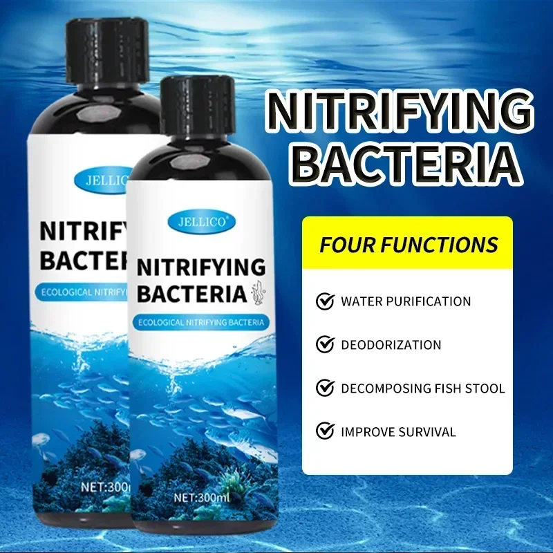 Nitrifizierende Bakterien Flüs – Aquarium Fish Medicine Bewertung und Preis