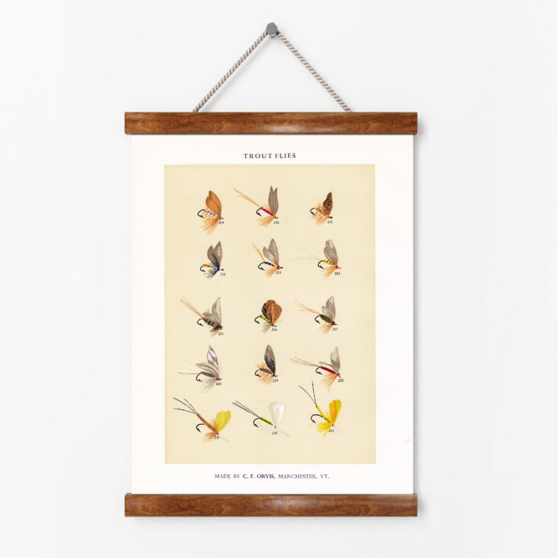 Vintage Fliegenfischen Köder P – Aquarium Fish Poster Bewertung und Preis