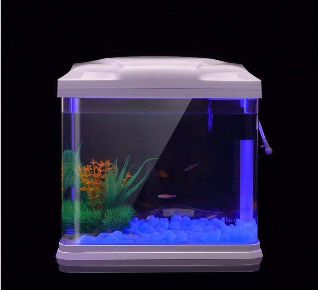 Aquarium-Felsen leuchten blaue – Aquarium Fish Types Bewertung und Preis