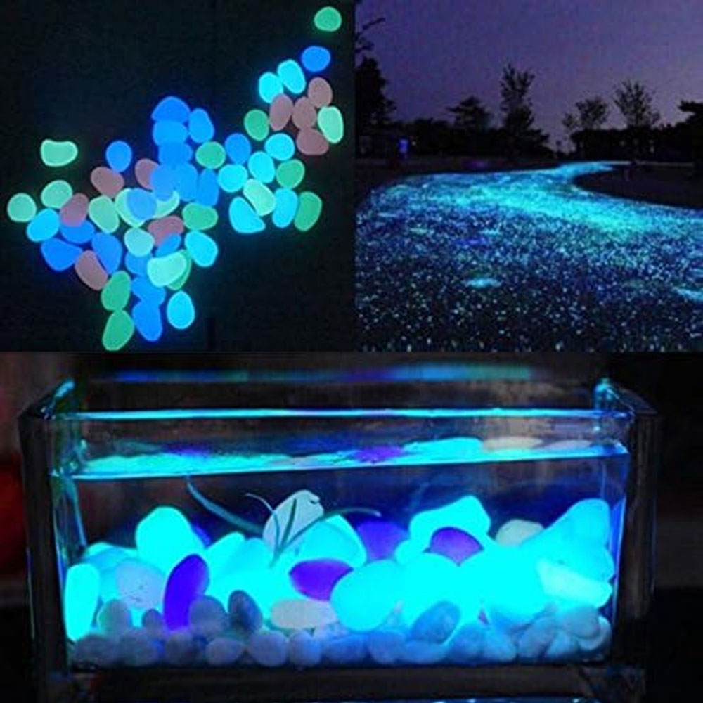 Aquarium-Felsen leuchten blaue – Aquarium Fish Types Bewertung und Preis