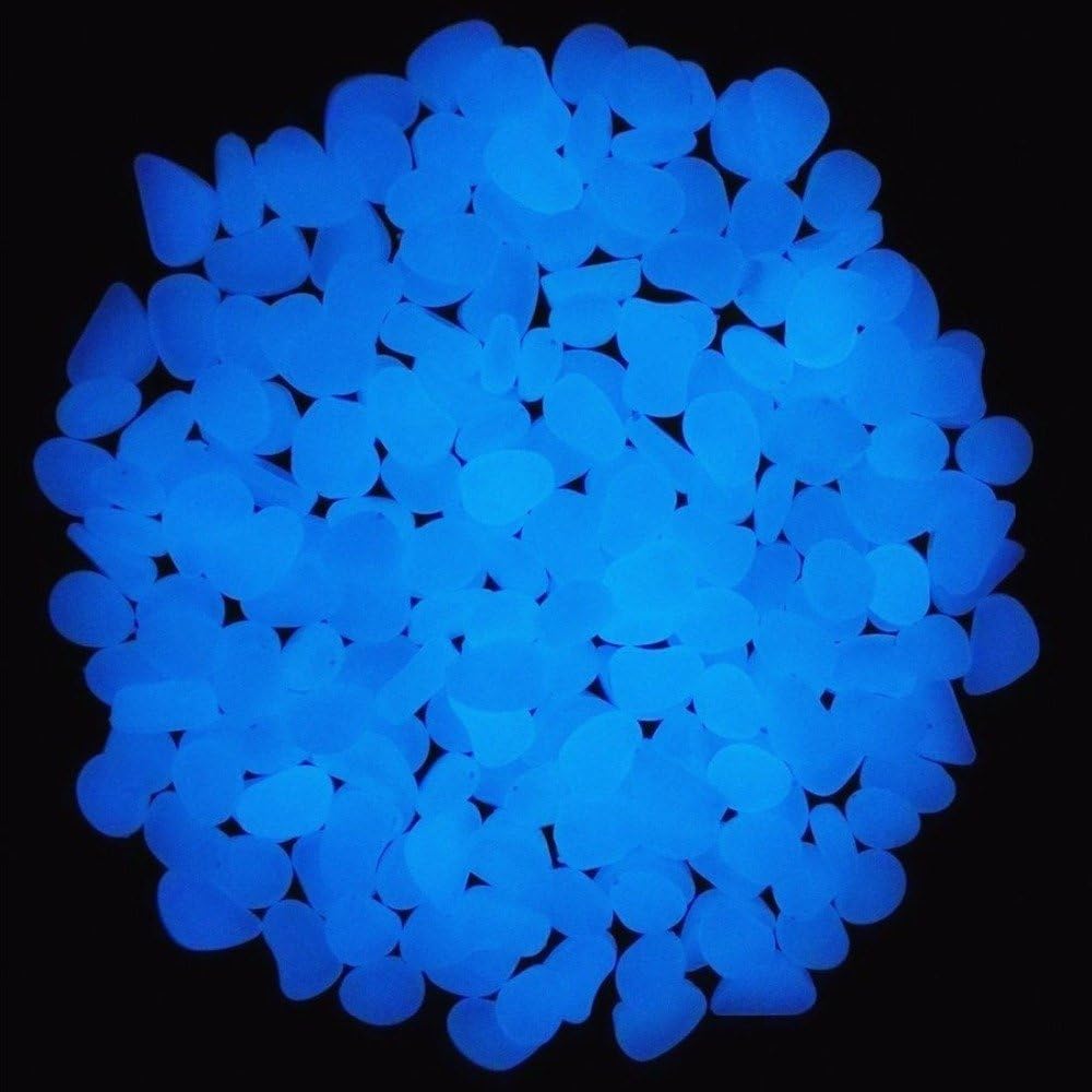 Aquarium-Felsen leuchten blaue – Aquarium Fish Types Bewertung und Preis